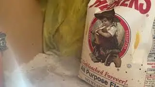 Grain Weevils Infest the Pantry