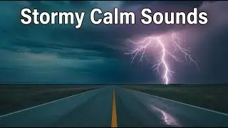 The Secret to PEACE and Calm with Rain Sounds | Study, Stress Relief & Work | Night Sounds
