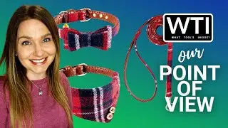 Our Point of View on EXPAWLORER Dog Bow Tie Sets From Amazon