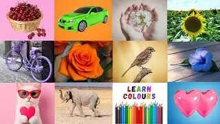 We Love All the Colors | Learn Colors in English Fast |Kids Learning Song |Preschool & Toddlers Song