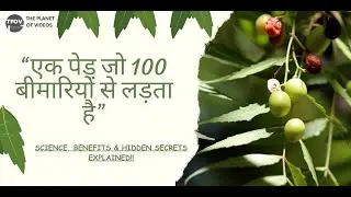 Neem Tree Secrets | Ek Ped Jo 100 Bimariyon Se Ladta Hai | ThePlanetOfVideos | Nature&rsquo;s Pharmacy
