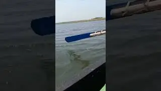 @ARshorts108  Maithan Dam Dhanbad Jharkhand #DVC #shorts #boating #nature #maithan #vlog