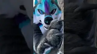 ASMR - Alaska Furry Claws ASMR on Alaskan mountainside