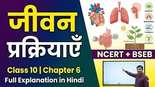 जीवन प्रक्रियाएँ | Life Processes Class 10 | Chapter 6 Full Explanation in Hindi | NCERT + BSEB