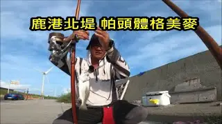 20230829鹿港北堤 訊號滿格不無聊 帕頭體型不錯#fishing #釣魚 #彰化釣魚 #鹿港北堤 #遠投 #沉底 #灘釣 #沙梭 #帕頭 #YDC中通竿