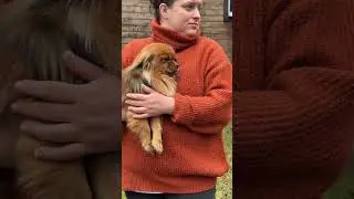Maciuś szuka domku [wiecej o Maciusiu na FB i na fundacjarap.pl]