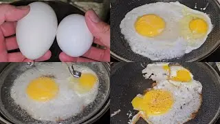 Goose Egg Vs Costco Chicken Egg Taste Test Review