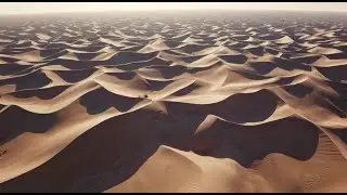 From Rainforest to Desert: The True Story of the Sahara's Evolution
