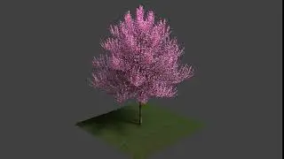 Sakura - Blender
