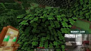 Minecraft LIVE (With Bunny Cam)
