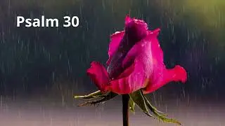 Psalm 30 (śpiewany) – Od płaczu do radości, od grobu do tańca | Biblia Warszawska
