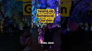 teamLab Botanical Garden, Osaka, Japan #travel #japan #fypシ #shorts