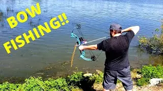 BOWFISHING carp spawn!!!
