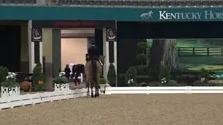 Barbara Strawson and Barossa US Dressage Finals 2018