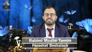 Parashat Beshalach - Nas entrelinhas da Parash&aacute; - Rabino Moshe Tamim - Hidabroot Brasil (2023)