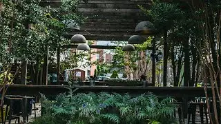 Take a Tour of the PHS Pop Up Garden at South Street