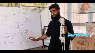 Human Skelton system in 10 minutes !@hospitalsskeletalsystem6436@all @kashmir @peace