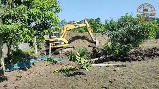 বায়োগ্যাস প্লান্টের জায়গা নির্ধারণ ও কাজ শুরু | Biogas Plant Setup in Bangladesh | JMP Agro Farm