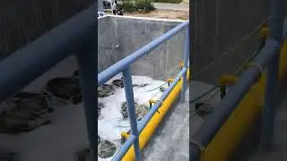 STP, SBR AERATION & Raw water inlet.#STP #AERATION #FOAM #BIO REACTOR #DRAINAGE WATER #WASTE WATER