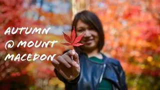 Autumn @ Mount Macedon - Forest Glade Gardens