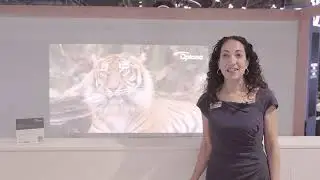 Welcome to Optoma at ISE 2024