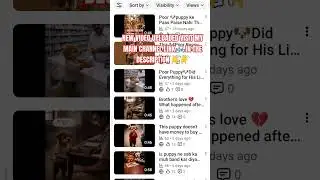 🙏PLEASE VISIT MY MAIN CHANNEL LINK🔗 IN THE DESCRIPTION 👇👇👇 |#viral #shorts #shortsfeed