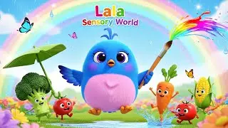 Baby Sensory Video : High-Contrast Visual & Wind-Down Music - Relaxing Music for Kids