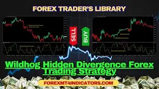 Wildhog Hidden Divergence Forex Trading Strategy