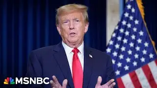 'An unprecedented dumpster fire': Trump blasted by Dem strategist Simon Rosenberg