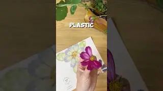 🌸✨ DIY Flower Pounding Art &ndash; Nature&rsquo;s Colors on Fabric! ❤️