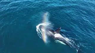 Our Best Of 2022 Captured from Our Drone