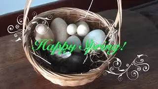Happy Spring!