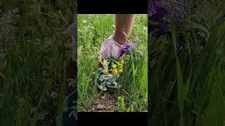 Fred&rsquo;s Floral Adventure#fingerlife #miniaturelife #tinyworld #flowers #springflowers #floral #shorts