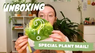 HOUSEPLANT UNBOXING! | very special plant mail