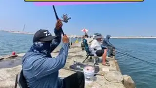 钓鲻鱼调漂找底 鲻鱼装备 孤东海堤 鲻鱼 乌头 钓鱼日记#小李带你玩海钓 #夏日正是钓鱼时 #在中东钓鱼vlog