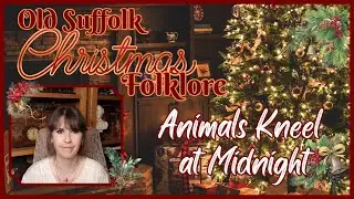 Old English Suffolk Christmas Folklore - Animals Kneel at Midnight - Suffolk, East Anglia