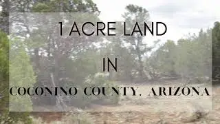 Coconino County 1 Acre - 50146003