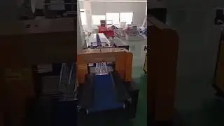 Vegetable horizontal packaging machine XZL600X-What vegetables can be packed?
