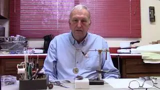 Gary Bevers bronze mallard wing intro