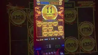 THIS MACHINE IS ON 🔥! Another AWESOME WIN on Autumn Moon!  #DragonLink #SlotWins #Slots #Casino