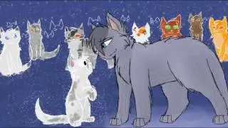 Bluestar's Story( Warrior cats tribute )