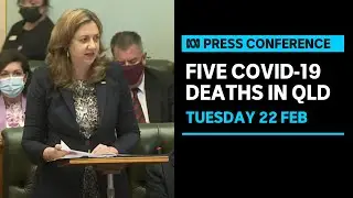 IN FULL: Five COVID-19 deaths recorded in Queensland, restrictions to ease | ABC News