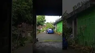 morning all wish u hepi all #automobile #gd3 #honda #hondajazz #jazzgd3 #modified