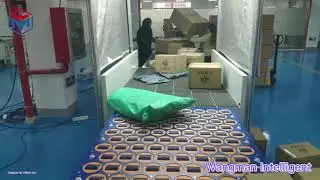 Singulation/Singulator Conveyor Performance