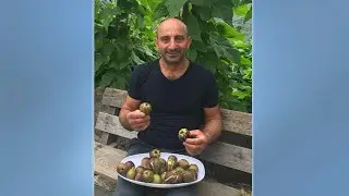 Beuningen: Mehmet Kılı&ccedil;soy (49) op straat doodgeschoten