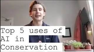 5 uses of AI in Conservation in 2020