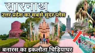 Sarnath mini zoo sarnath budhha temple Varanasi सारनाथ मिनी जू sarnath travel sarnath chidiya ghar