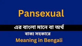 Pansexual meaning in bengali/Pansexual শব্দের বাংলা ভাষায় অর্থ অথবা মানে কি