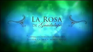 La rosa de guadalupe intro effects