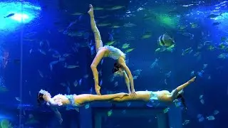 Aquarium Underwater Ballet Skills: Group Connections